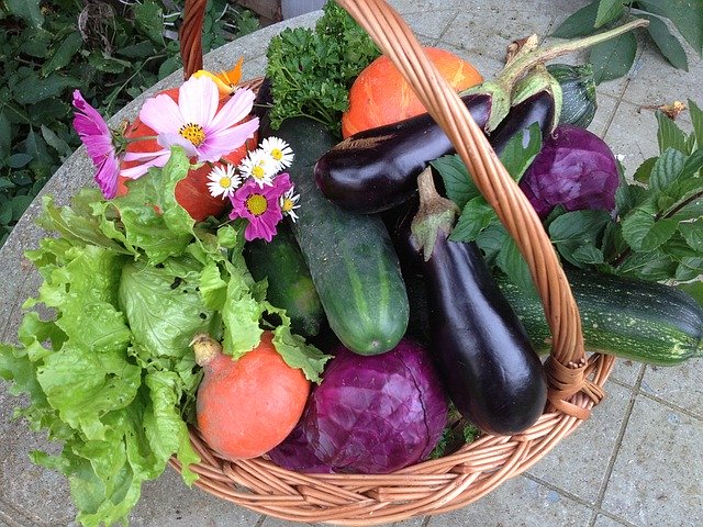 ベランダで育てやすい野菜・ハーブ16選!憧れの家庭菜園をはじめよう