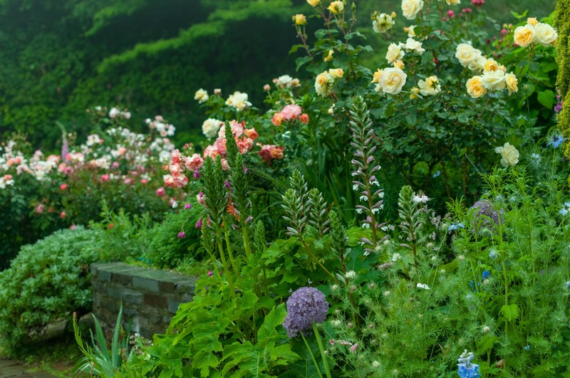 【初心者向け】イングリッシュガーデンのつくり方!おすすめの花・雑貨も紹介!