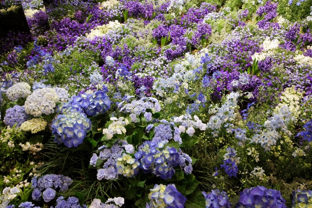 ブルーガーデンを作ろう！四季別に組み合わせる青い花のおすすめ30選！