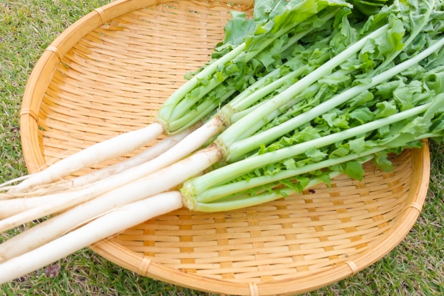 間引き菜とは？意味・種類や美味しい食べ方＆アレンジレシピを紹介！