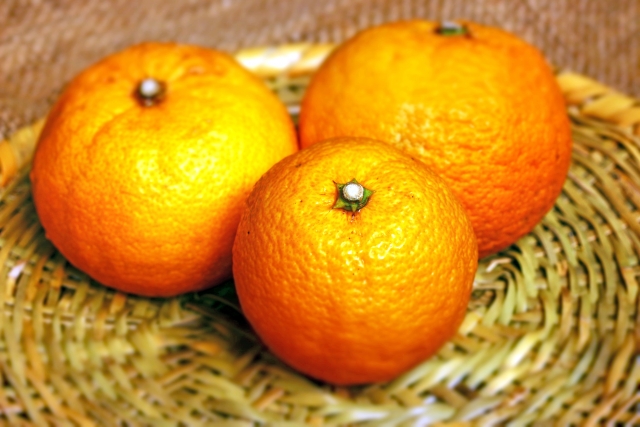 ジャバラとは?和歌山産ミカンの特徴をご紹介!花粉症にも効果あり?のイメージ