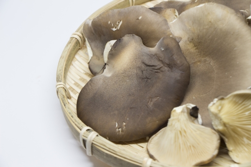 あわび茸とは?名前の由来や切り方・下ごしらえなど調理方法をご紹介!