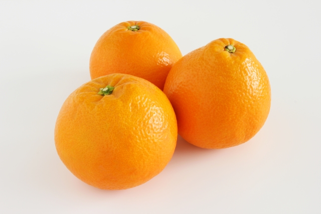 伊予柑の育て方！植えてから収穫までの歳月や栽培管理のコツを解説