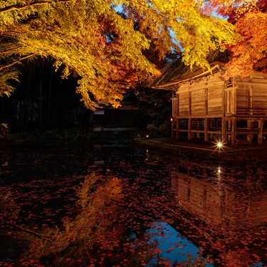 愛知県で紅葉がみれる絶景スポット10選！定番から隠れた名所まで厳選紹介