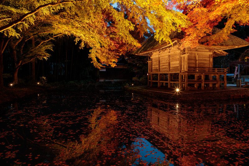 愛知県で紅葉がみれる絶景スポット10選!定番から隠れた名所まで厳選紹介