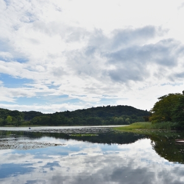 南湖公園（福島／白河市）の見どころは？基本情報や季節別の花をご紹介！