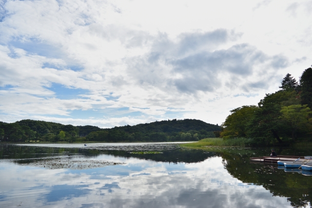 南湖公園（福島／白河市）の見どころは？基本情報や季節別の花をご紹介！