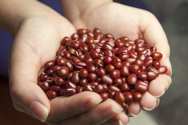 あずきの健康的な食べ方と健康と美容のための利用法!あんこ以外にも?