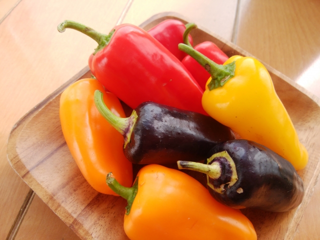 アナスタシアとは？黒ピーマンと呼ばれる品種の特徴と食べ方をご紹介！