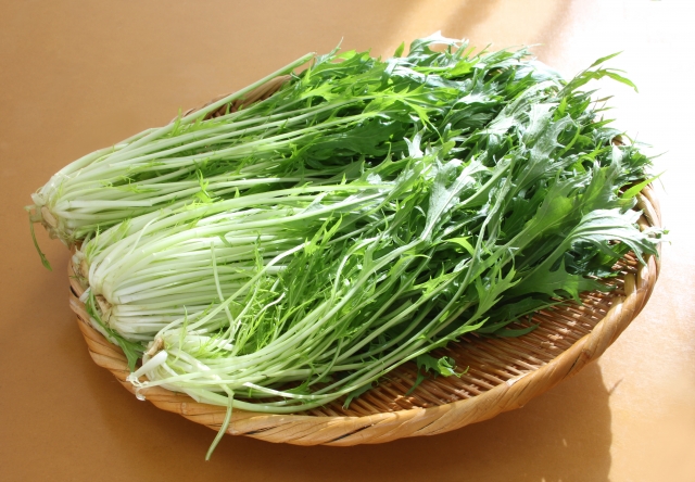 水菜に最適な保存方法は冷蔵?冷凍?長くおいしさを保つポイントも解説!