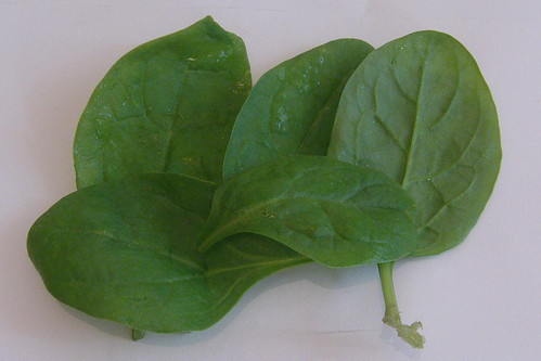 ベビースピナッチとは？ほうれん草とはどう違う？おすすめの食べ方も紹介！