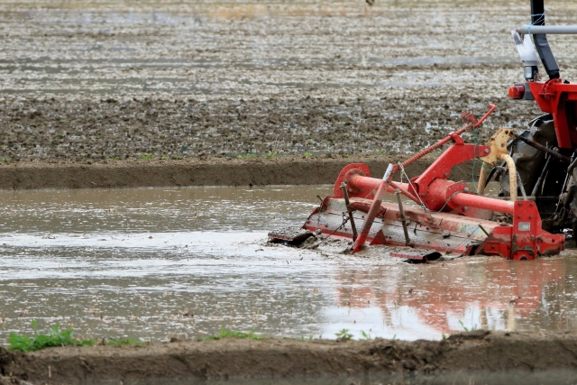 直播による水稲栽培とは?湛水直播と乾田直播の特徴・やり方を解説!