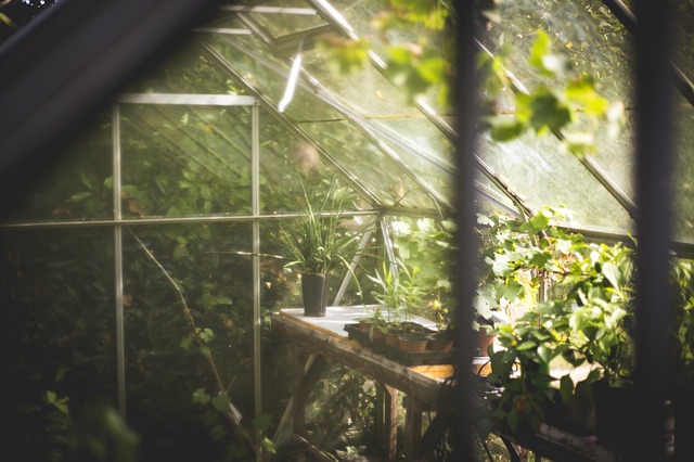 ワーディアンケースおすすめ10選!植物を乾燥・寒さから守るのに最適なのは?