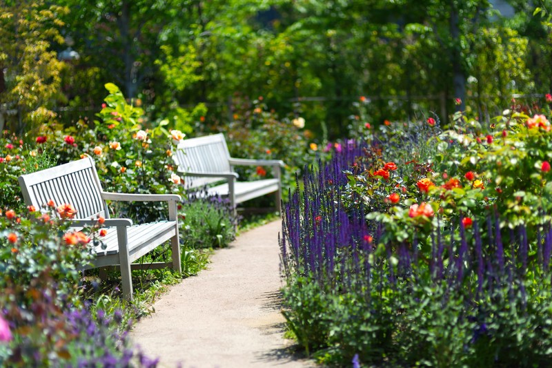 ガーデニングでよくあるトラブル10選!ベランダでの園芸も迷惑になりうる?