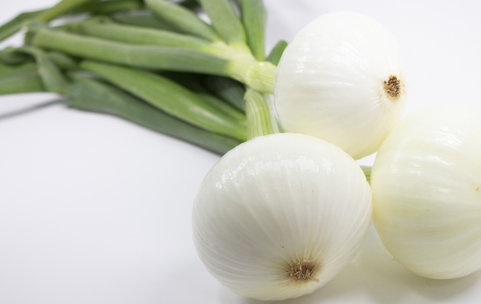 玉ねぎから出た芽は食べられる？毒はあるの？育てられる？のイメージ
