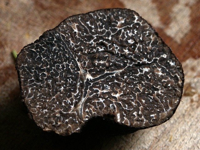 トリュフの味・匂いってどんなの?例えるなら?キノコの種類で違いはある?