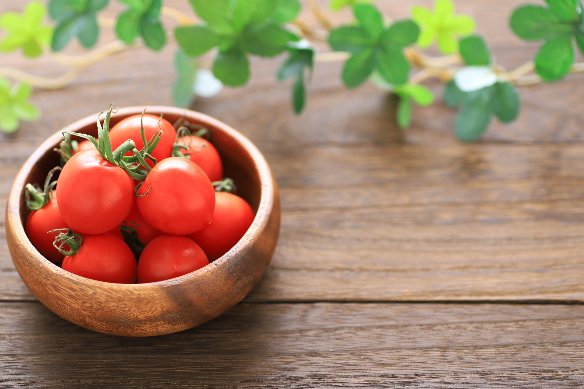 ミニトマトを日持ちさせる保存のコツ!冷蔵・冷凍で保存期間の違いは?のイメージ