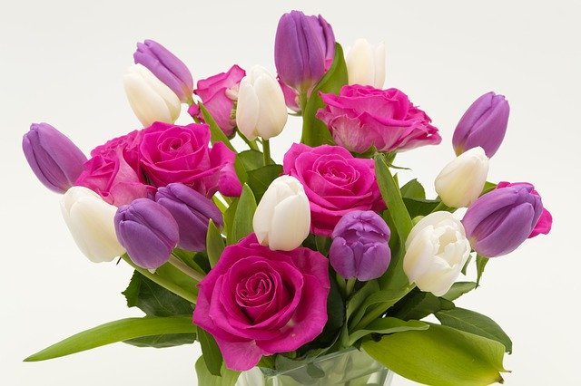 世界の変な花20選!姿が変な花や名前が変な花を一挙ご紹介