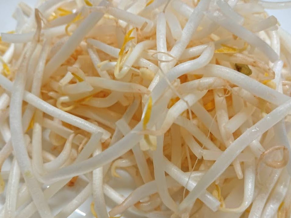 もやしの消費期限はどれぐらい？腐ってるかどうかの見分け方も紹介！のイメージ