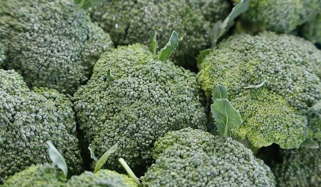 ブロッコリーは生でも食べられる?危険性やおいしい食べ方をご紹介!