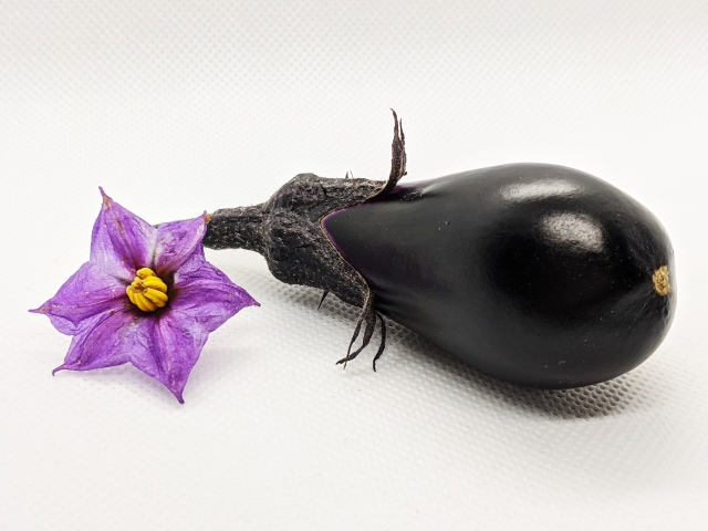 ナスは生でも食べられる？サラダなど生食でのおすすめの食べ方を紹介！のイメージ