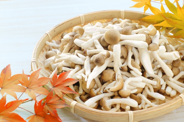 しめじは冷凍すべき?冷凍・解凍の仕方は?美味しく保存するコツを紹介