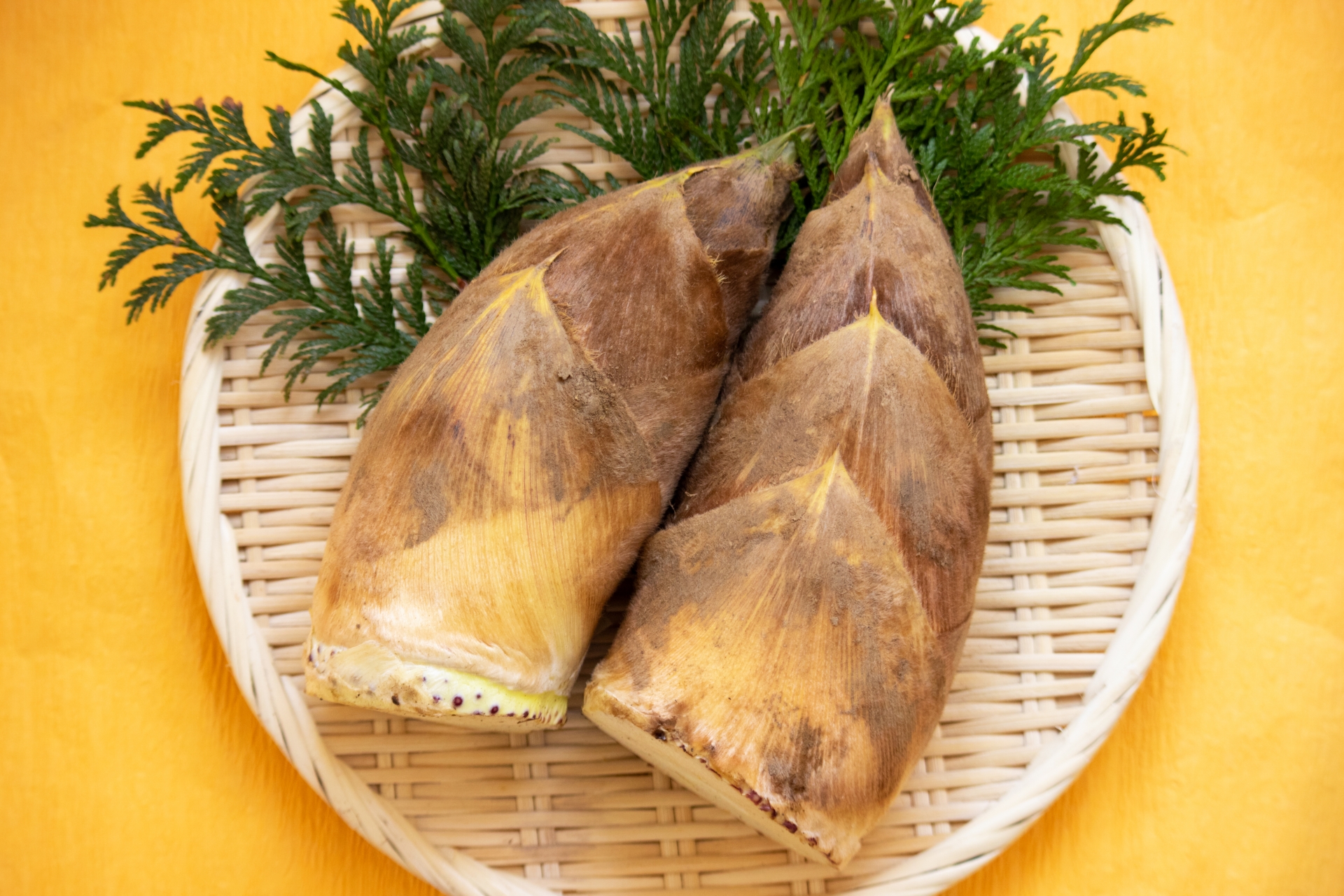 たけのこに栄養はある？食べすぎに注意？旬なたけのこの選び方も紹介