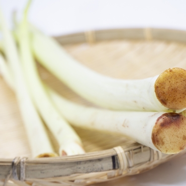 根芋ってどんな野菜？産地や栄養とおいしいレシピをご紹介！