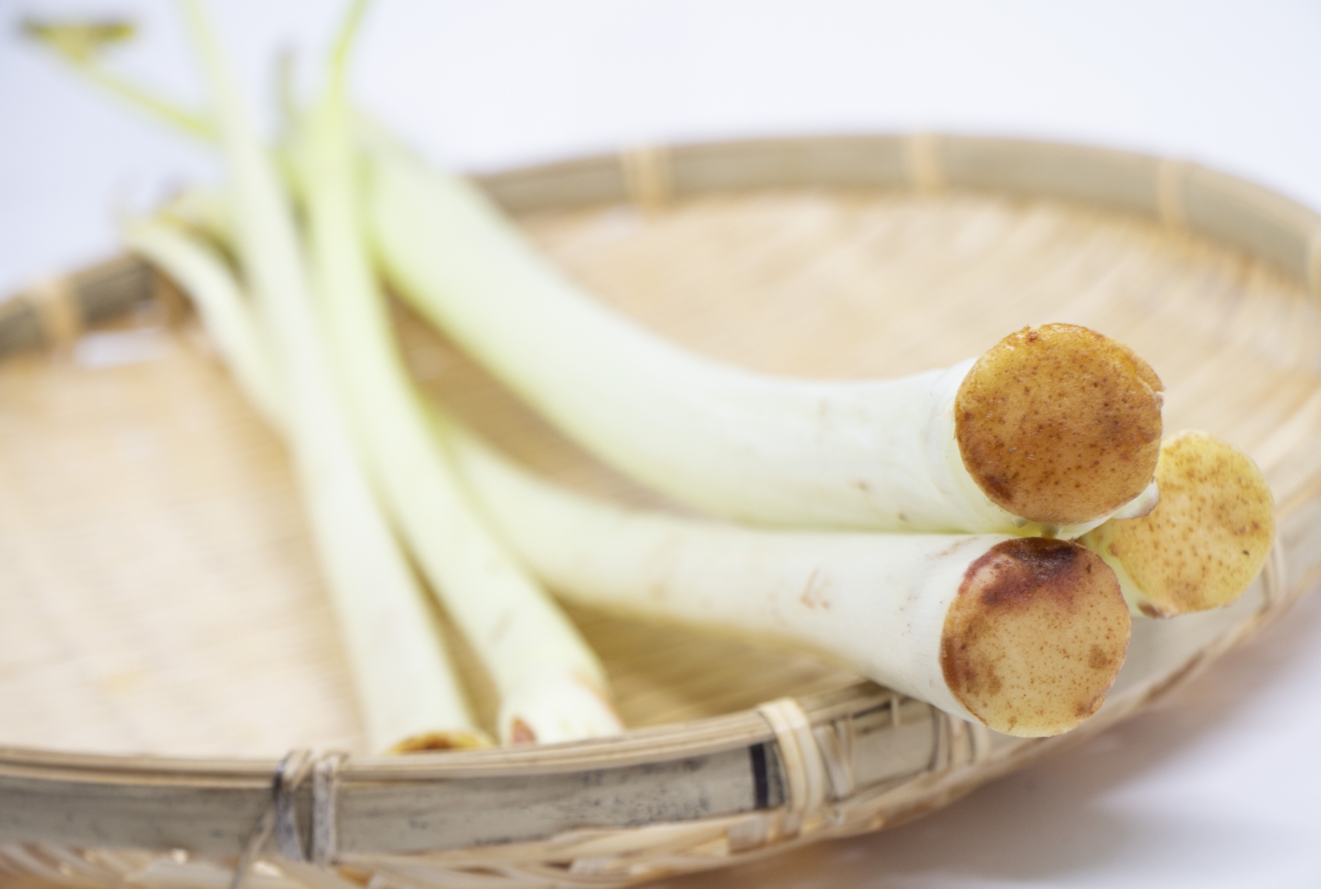 根芋ってどんな野菜？産地や栄養とおいしいレシピをご紹介！