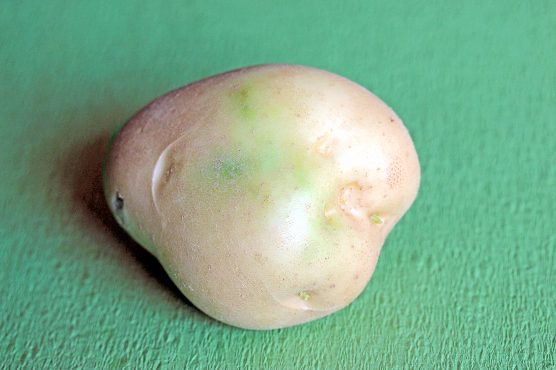 青くなったジャガイモは食べられるの？青い（緑）部分の毒性を解説！