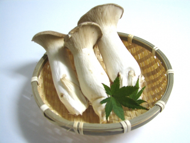 エリンギの栄養はどれほど?おすすめの食べ方や保存方法まで徹底紹介!