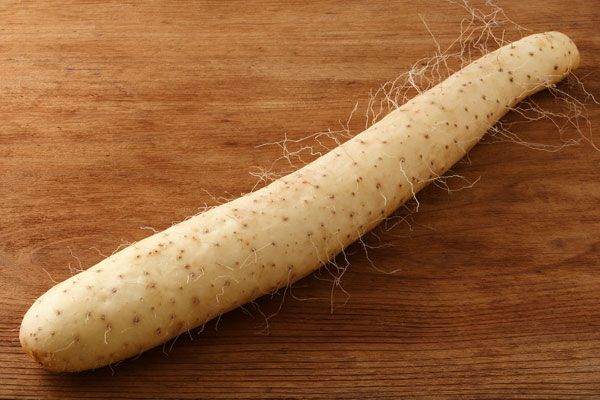 長芋の栄養と効果的な摂取方法とは？食べ方はすりおろしがオススメ？