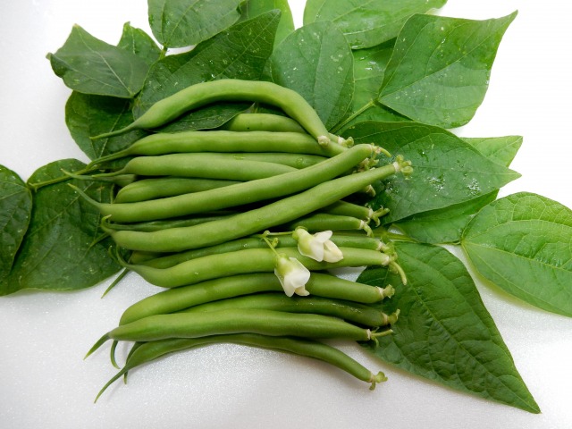 いんげんの筋の取り方！うまく取れない場合の対処法・コツを解説！のイメージ