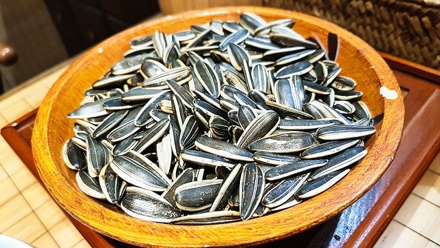 食用のひまわりの種5選!その栄養・効能や食べ過ぎのリスクも解説
