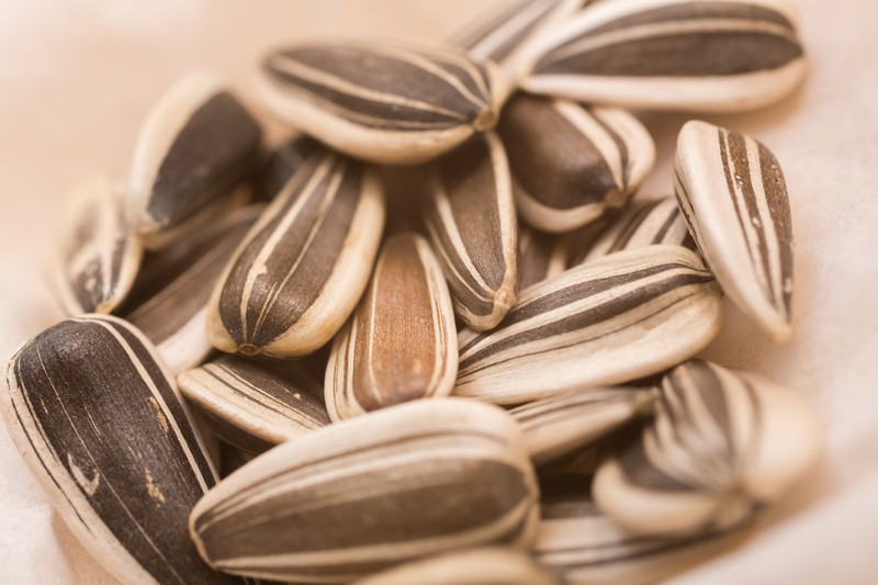 ひまわりの種の食べ方!殻はどう剥く?きれいに食べるためのコツは?のイメージ