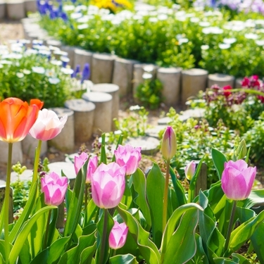 花壇の上手な作り方！おしゃれにするコツ・花壇のデザイン事例を紹介！