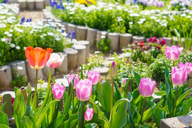 花壇の上手な作り方!おしゃれにするコツ・花壇のデザイン事例を紹介!