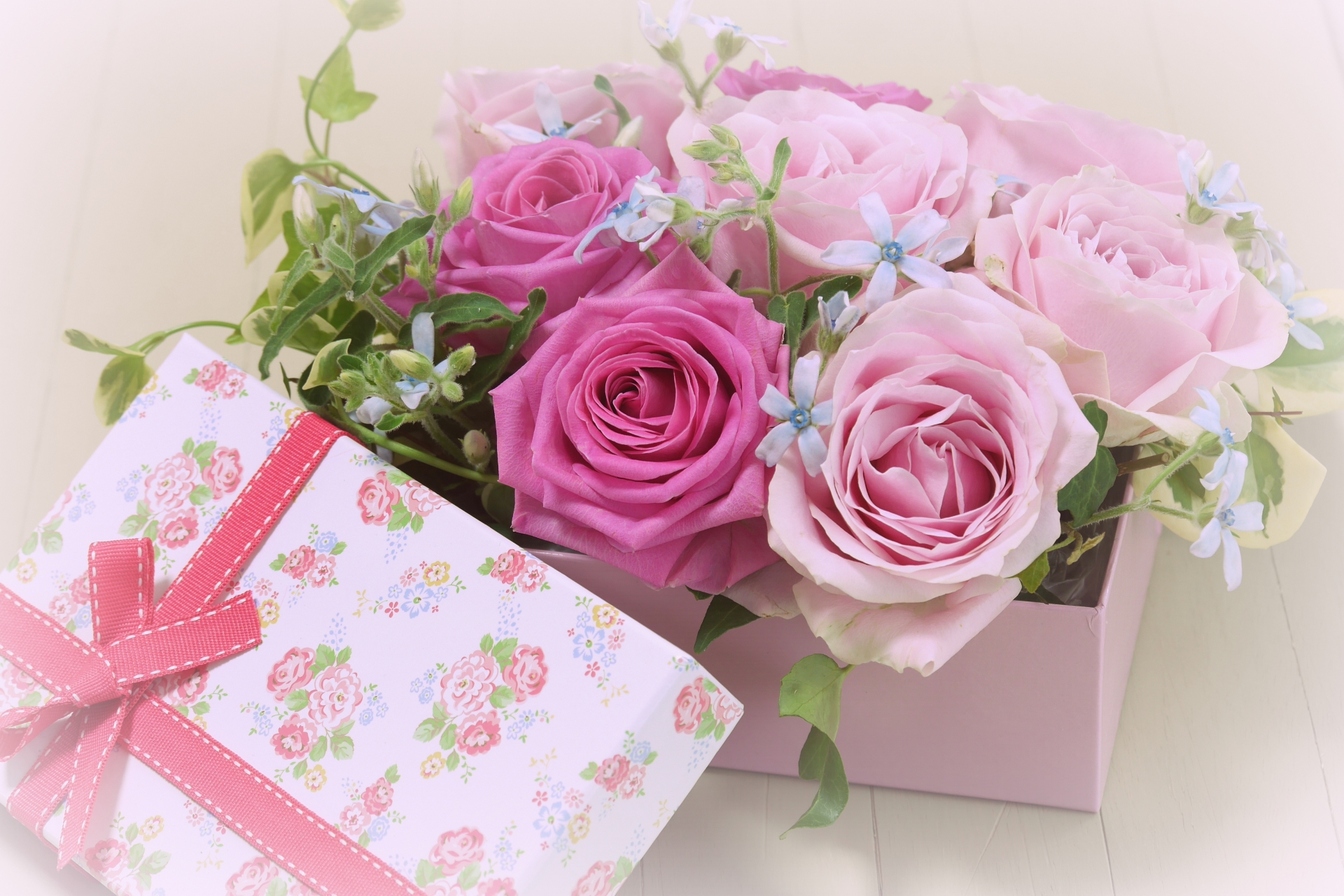 発表会や舞台で花を贈りたい!どんな花を贈る?贈り方のマナーも解説