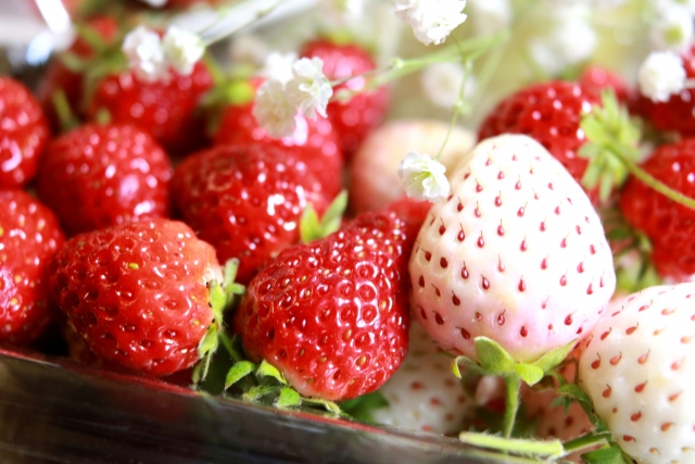 白いいちごって知ってる？赤いいちごと味は変わらない？特徴を紹介