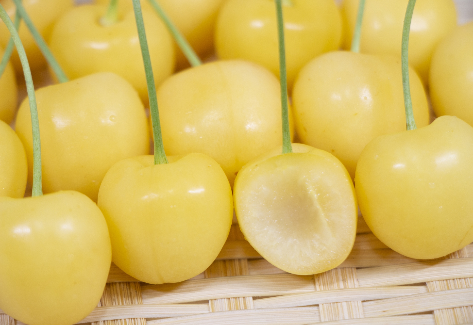 魅力的な白いさくらんぼ!どんな味なの?特徴や購入方法をご紹介