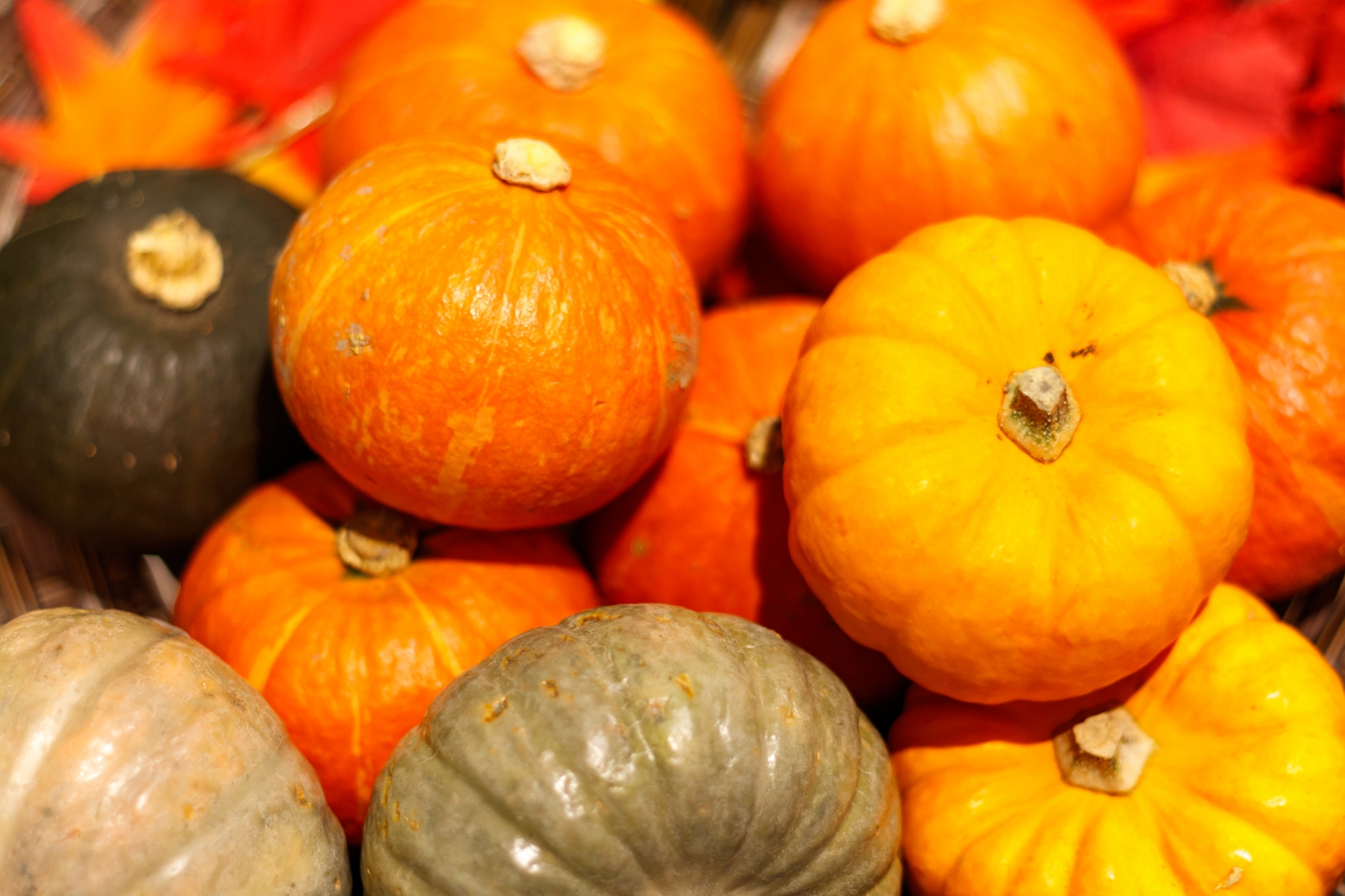 かぼちゃのカロリーは高い?低い?炭水化物なの?ヘルシーに食べるコツは?