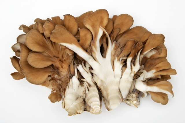 まいたけの栄養・効能とは?おすすめの食べ方や保存方法・選び方を紹介