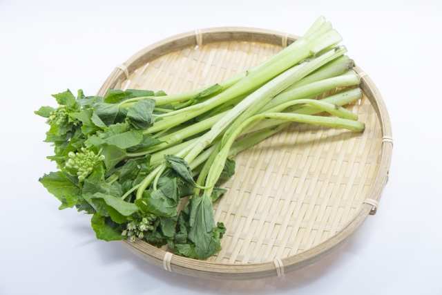 葉わさびとは?味は辛い?美味しい食べ方や簡単な調理方法をご紹介!