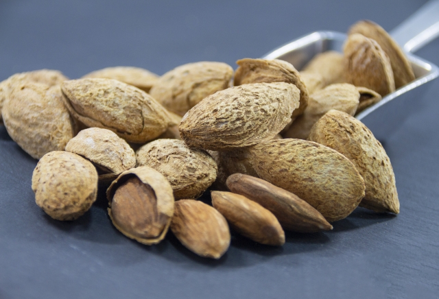 アーモンドの栽培方法！種まきから収穫まで上手に育てるコツをご紹介