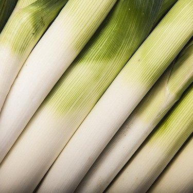 ポロネギとはどんな野菜？味や旬の季節などの特徴や食べ方をご紹介！