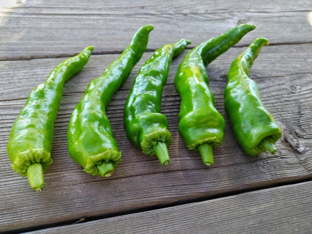 ししとうが辛い理由は?辛い部分・確率・見分け方や辛さを抑える調理法