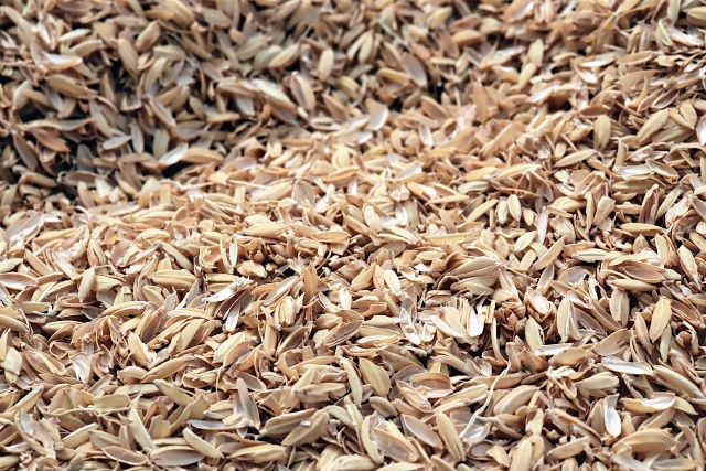 籾殻ってなに?家庭菜園での肥料としての使い方や入手方法をご紹介!
