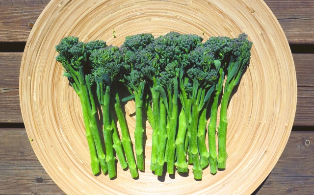 スティックセニョールの育て方！おもしろ野菜を収穫する栽培のコツは？