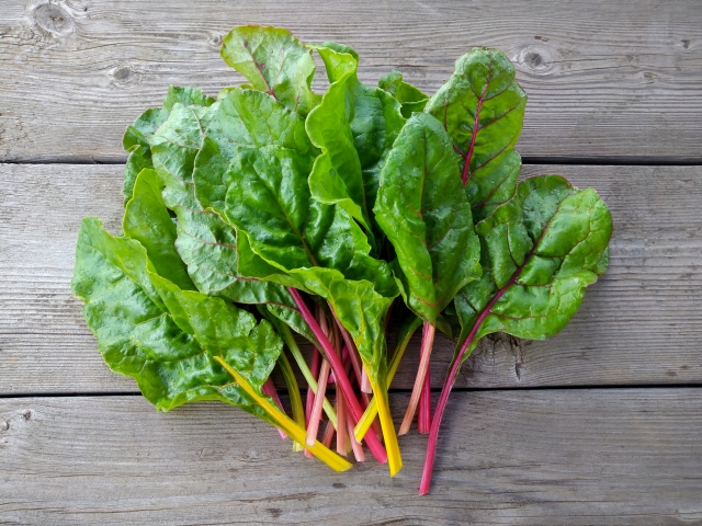 フダンソウってどんな野菜?美味しい食べ方や簡単な栽培方法をご紹介!