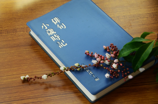 植物と季語の一覧まとめ！春・秋など季節別に季語と俳句をご紹介